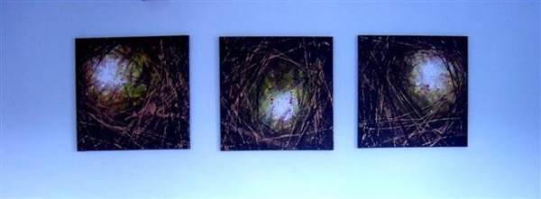 Triptych - Click to make an enquiry
