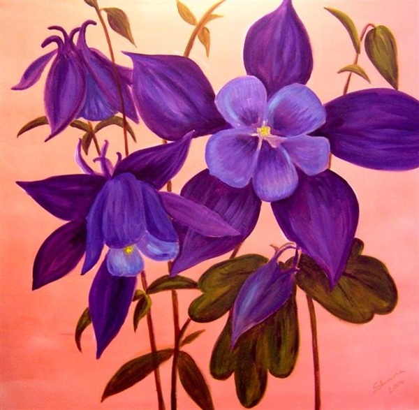 aquilegia - Click to make an enquiry