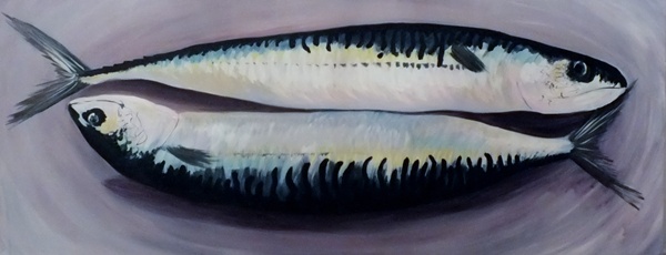 Mackerel2 - Click to make an enquiry