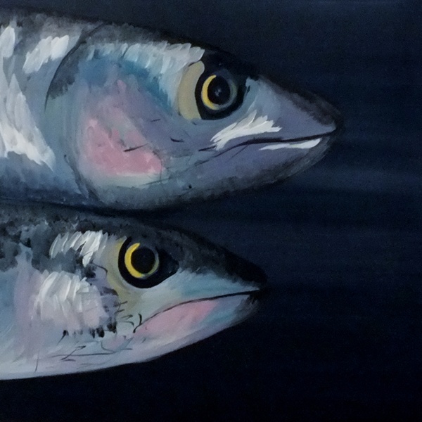 Mackerel Twins - Click to make an enquiry