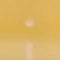 sunrise (small)